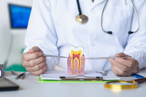 Best Emergency Root Canal Treatment in Eldora, IA